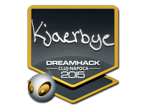 Kjaerbye | Berlin 2019 image